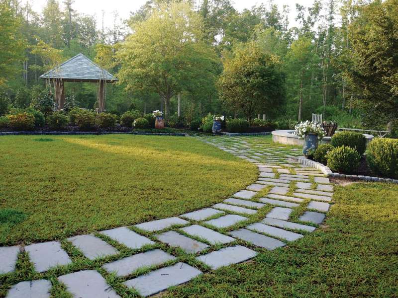 Plant Removal